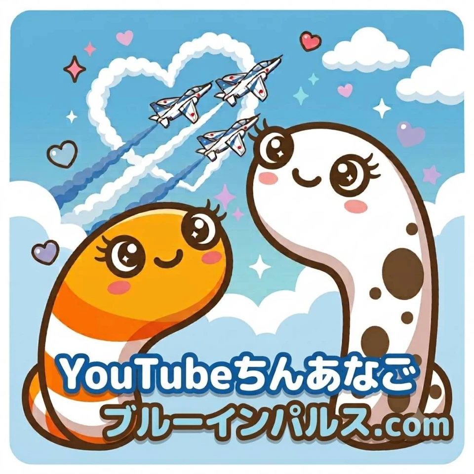 YouTubeちんあなご ブルーインパルス画像 11