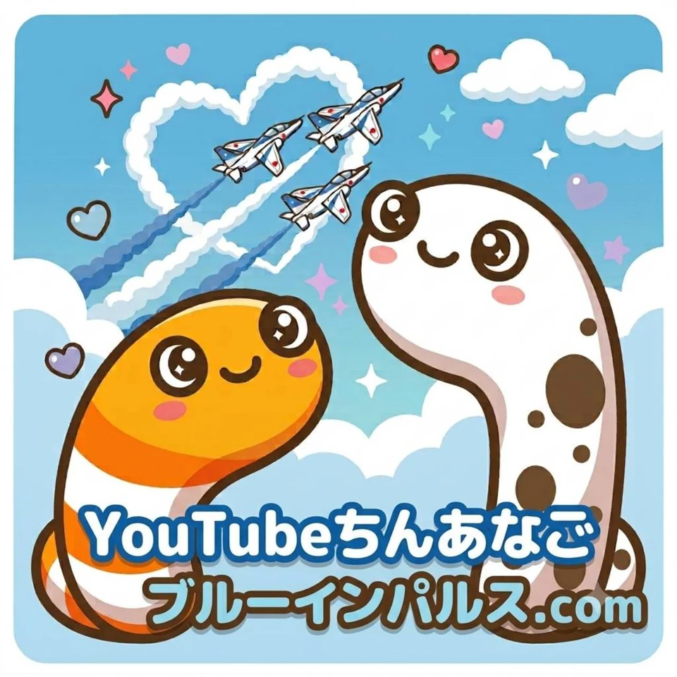 YouTubeちんあなご ブルーインパルス画像 12