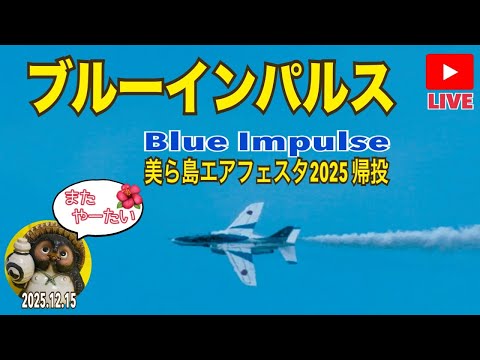 航空祭ライブ配信アーカイブのサムネイル